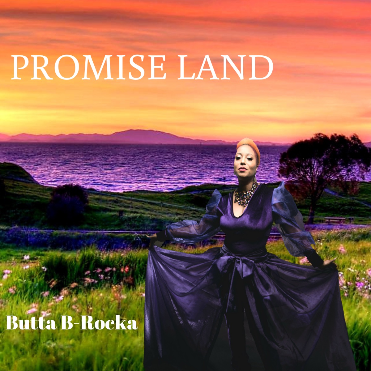Promise Land — cover art